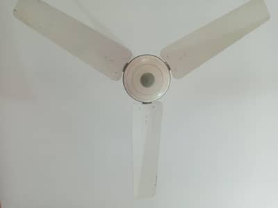 6 No. of Ceiling Fans Available (Copper Winding)