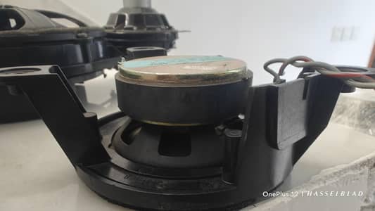 Bose Mark Lavinason JBL USA Car audio speakers