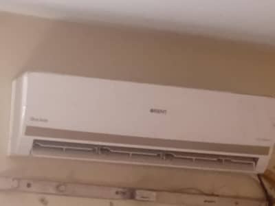 new candishin and no gass