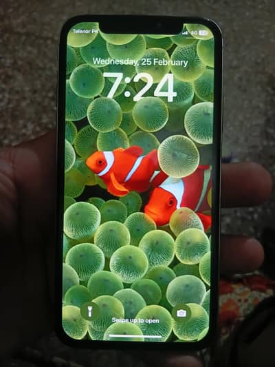 iphone x sim working 256gb