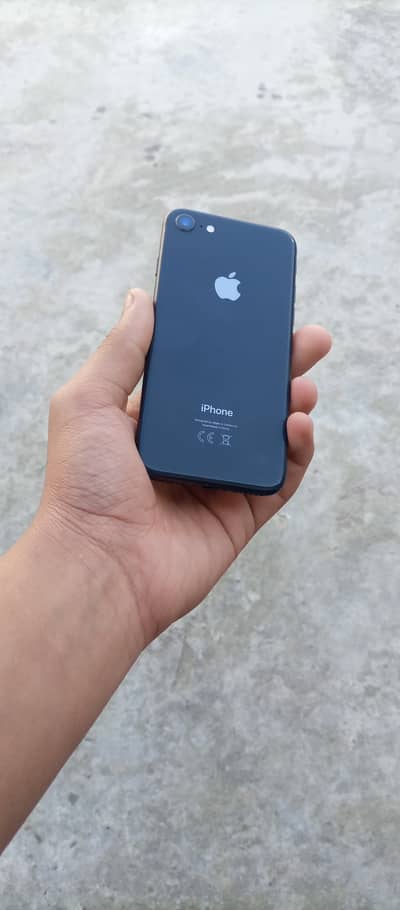 iphone 8 (waterpack)