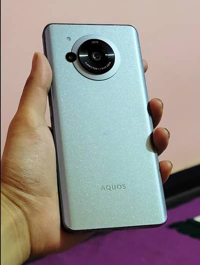 Sharp’s—FLAGSHIP!