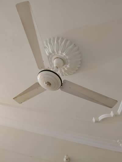 ceiling fan available for sale