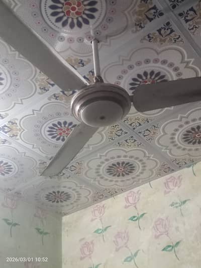 Ceiling fan original copper home use