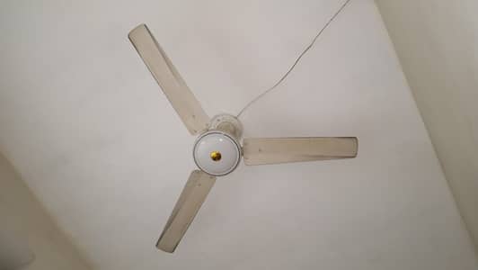 Ceiling fans