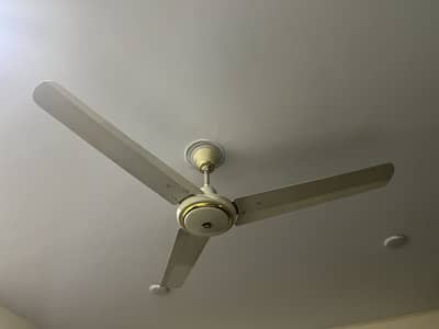 Ceiling fan (pak fan)