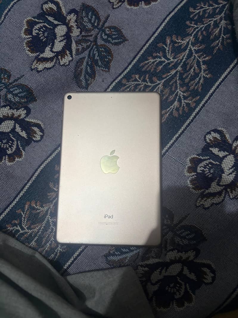 ipad mini 5 0