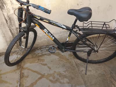 best sumac cycle ayale