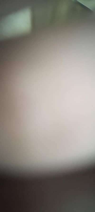 captain needed yango indrive