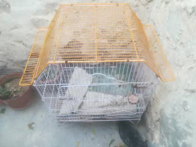 new he good condition no use 03006857440