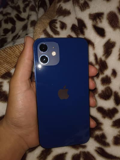 iphone 12 lush condition