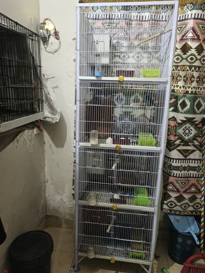 All setup with new iron 4 portion cage setup of love birds breeder