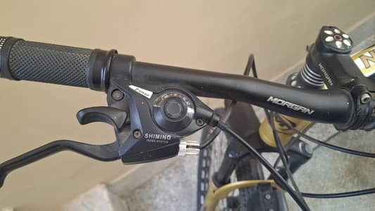 Morgan Bicycle 29" is available for sale