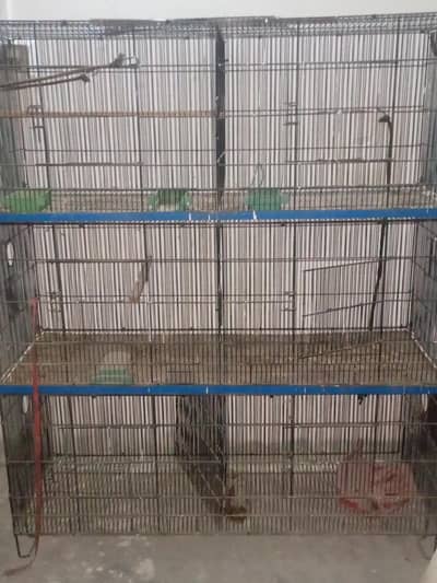 Four Partition cages
