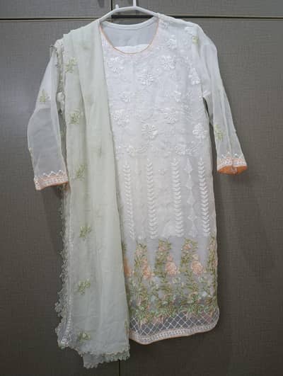 Stitched Fancy Ladies Suits