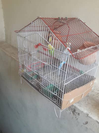for sale
