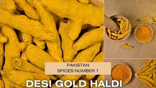 Desi Gold Haldi