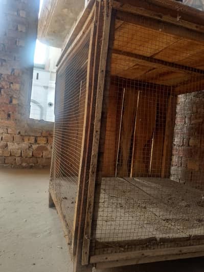 cage for hens and parrot