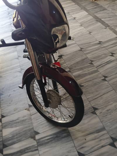 cd70 Dream 2013 model 03156666865