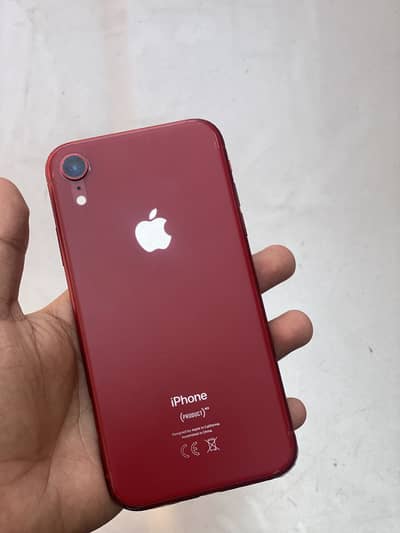 iPhone xr Non Pta FU