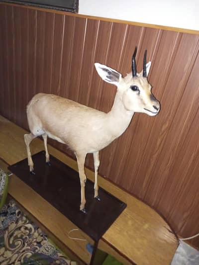 original quality available