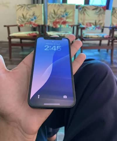 iPhone 12 mini in Lush condition