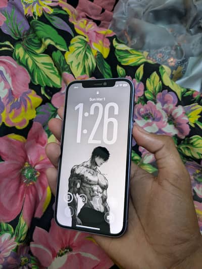 Apple iPhone 12 factory unlocked