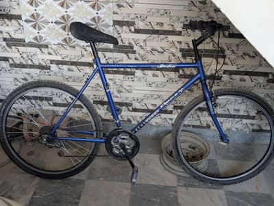 Oscar's original cycle with gears!!!!