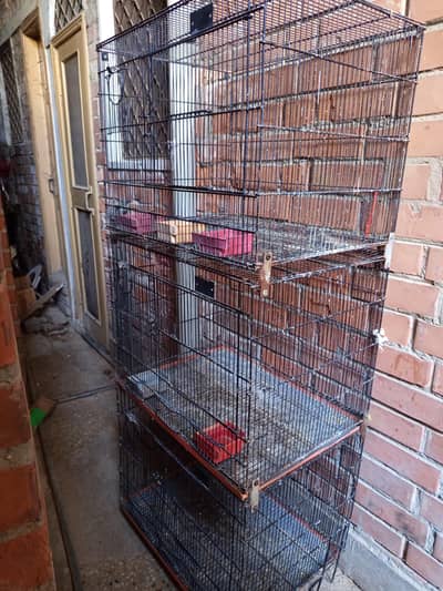 3 step birds cage