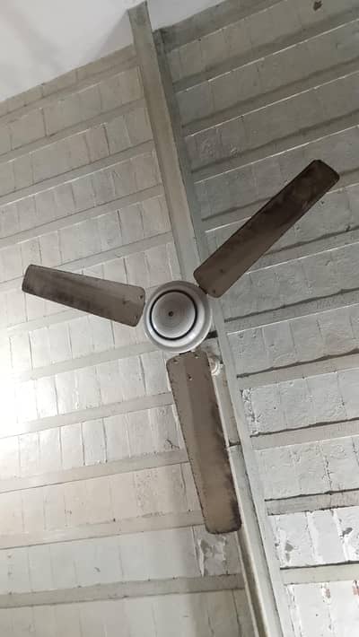 parwaz fan younis fan gfc fan pak fan used me