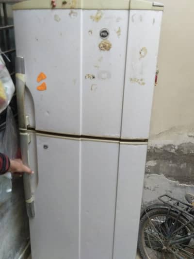 Pel Refrigerator for sell
