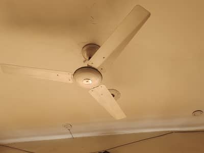 3 no Ceiling  fan