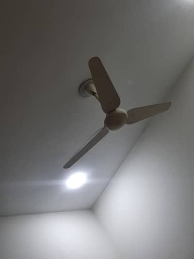 Celling Fan in good condition