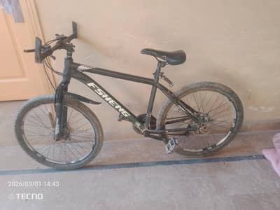 Disc brake and shokch are installed