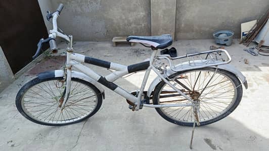 Standard Adult Bicycle for Sale in Multan.