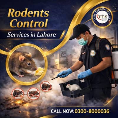 Rodents Control Services in Lahore