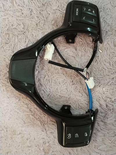 vitz multimedia button