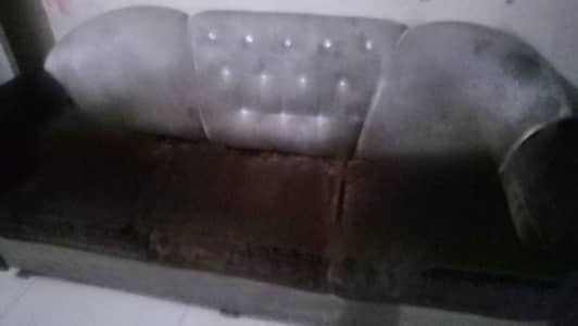sofa for seal
