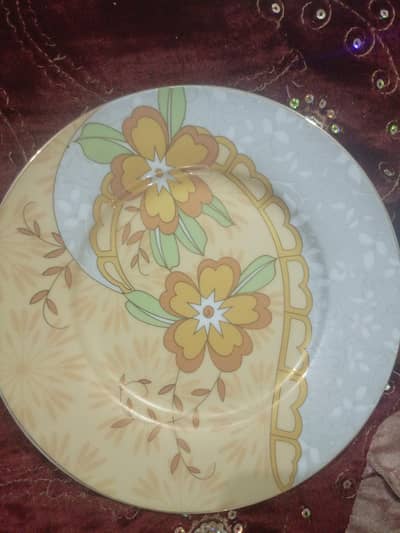 elegant ceramic crockery set.