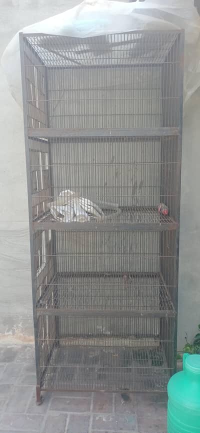 parrot cage
