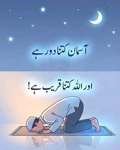 need job I am cooking in this All Pakistani food's