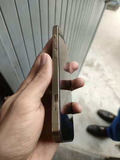 iPhone 12 Pro golden colour 10/10 condition 128 gb storage
