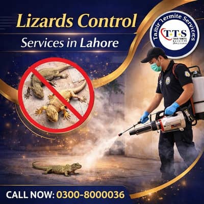 Lizards Control Services in Lahore
