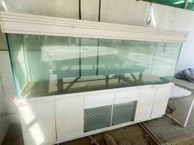 8X2.75X1.83  Feet  Premium Custom-Made Fish Aquarium – High Quality