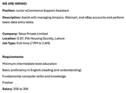 Junior E-commerce Assistant
