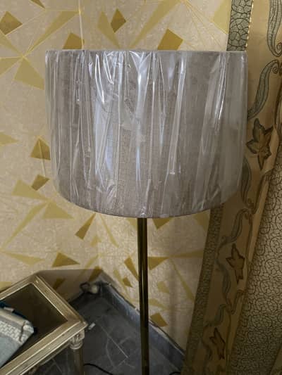 Stand floor lamp.