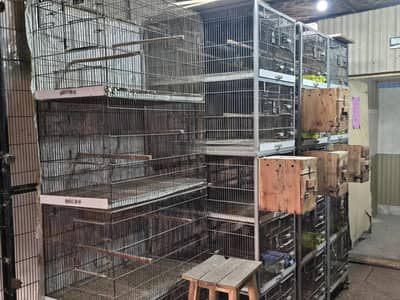 Birds Cages and shed setup for sale