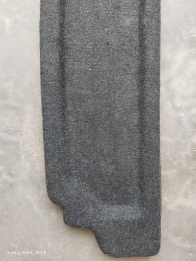 WagonR Diggi tray + Rubber Mat