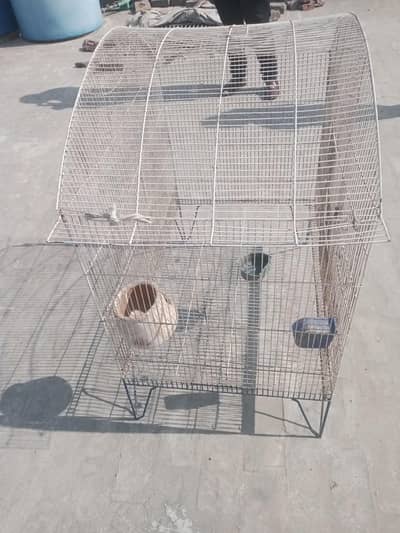 birds cage