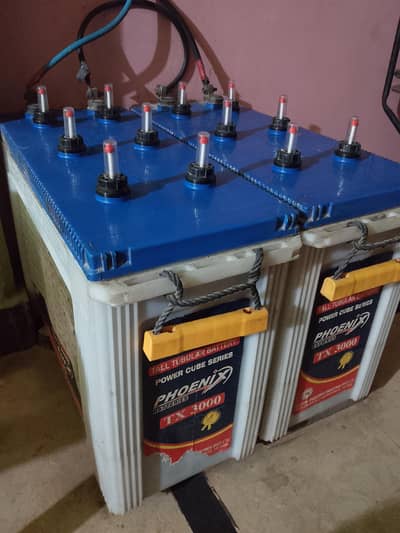 Phoenix tall tubler battery